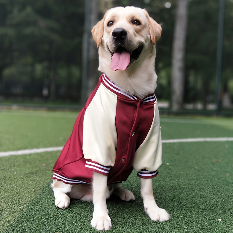 Dog Baseball Jacket for Large to Extra Large Breeds