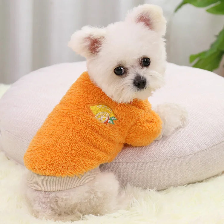 Cozy Warm Clothing for Small Dogs: Keep Your Pup Snug and Stylish!