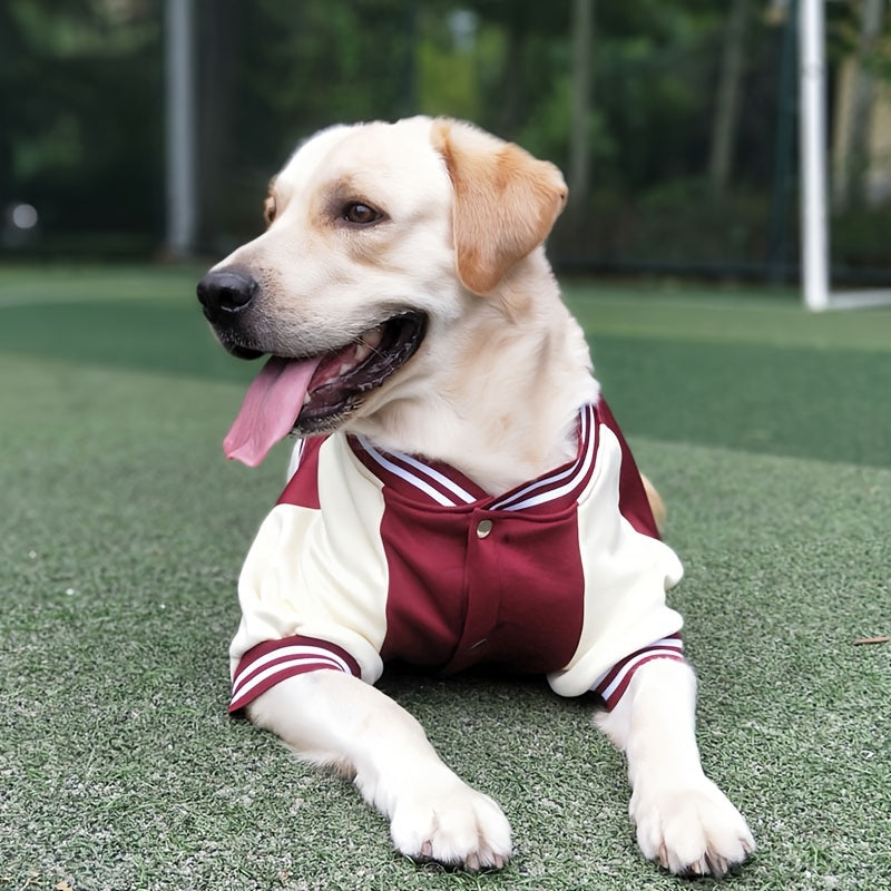 Dog Baseball Jacket for Large to Extra Large Breeds